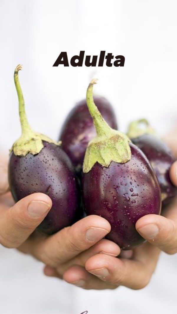 Planta Berenjena Baby - Image 4